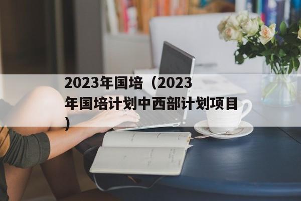 2023年国培（2023年国培计划中西部计划项目）